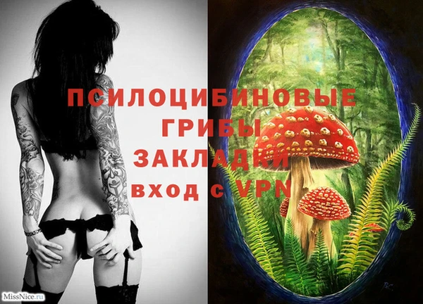 кокаин колумбия Белокуриха