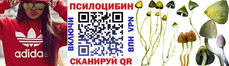 как найти закладки  Афипский  Галлюциногенные грибы Psilocybe 